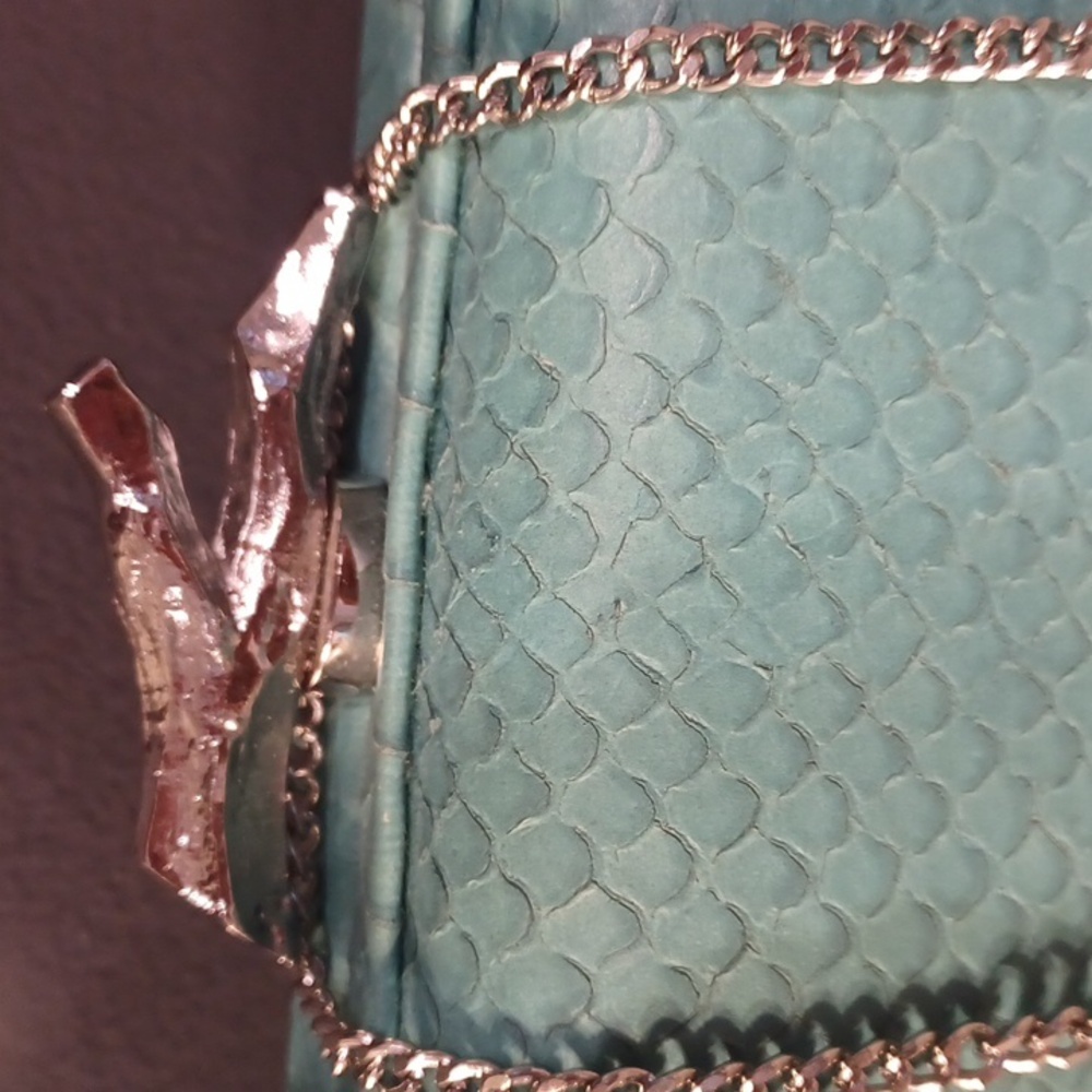 DvF Clutch/ crossbody - Picture 2 of 16